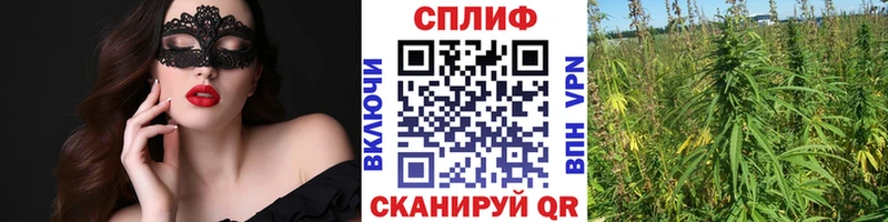 Каннабис AK-47  гидра ТОР  Короча 